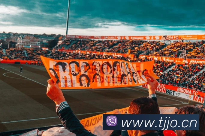 开云网页版登录入口手机版发展历程