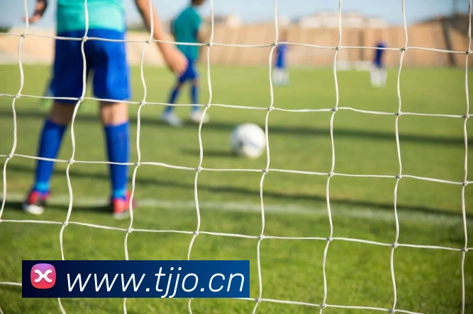 天津文艺频道直播：深度解析津门虎队最新赛况与战术